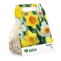 Narcizų Mix svogūnėliai ASEJA Grand Pack, 15 vnt., 10/12, 504320, (R)