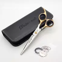Stain-Cut Silver & Gold Hairdressing Scissors Profesionalios plaukų kirpimo žirklės, 6.0"