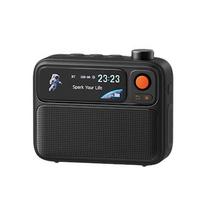 Divoom FlowToo All-Day Lifestyle Speaker, black