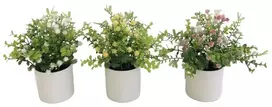 Dirbtinis eukaliptas su gipsofila vazone 21 cm, 12x12x21 cm, LITO