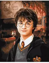 Ideyka Tapyba pagal skaičius: "HARIS POTERIS" Grifindoro bendroji salė Warner Bros 40x50 dėžutėje