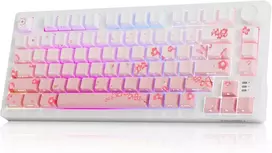 DAREU mechaninė belaidė žaidimų klaviatūra 75 %, 81 klavišas, RGB, EK75 PRO-PK-C