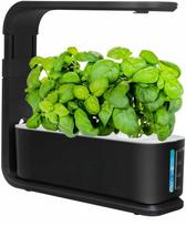 Hidroponikos sistema Garden Center GT1033, plastikinė, 26,5 cm x 8,8 cm, juodos spalvos.