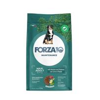 FORZA10 Maintenance Maxi Adult šunims su elniena ir bulvėmis