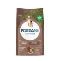 FORZA10 Maintenance Medium Adult šunims su ėriena