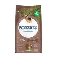 FORZA10 Maintenance Mini Adult šunims su ėriena