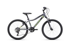 Dviratis Berry 24"