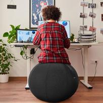 Ergonominis kamuolys ACTIVUM PRO, 65 cm skersmens