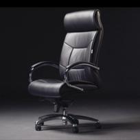 Biuro kėdė Supreme Chrome Leather