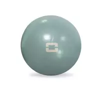 Jogos kamuolys 25cm TOORX Liveness AYP-004 green tea