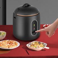 Mini Rice Cooker Multifunction 200W Power Full Automatic Portable Rice Cooker for Home Dorm Travel 1.2L CN gray