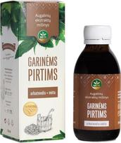 Meta Garinės pirties arbatmedžių ir mėtų ekstraktas MĖTA, 150 ml