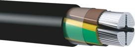 Tt_Cable Aliumininis jėgos kabelis TT Cables AXMK 4 x 16 mm²