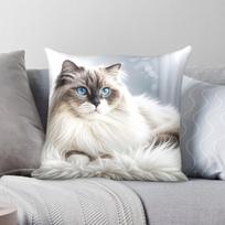Ragdoll katė ant kailinio kilimo Kvadratinė pagalvės užvalkalas Poliesterio Lino Aksomo Spausdinta Užtrauktuku Dekoratyvinis pagalvės užvalkalas Sofos pagalvės užvalkalas 45x45 30X30CM white