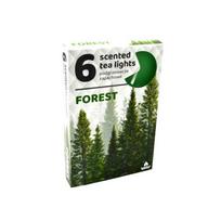 Arbatinės kvepiančios žvakutės FOREST 6 vnt. Miško aromatas