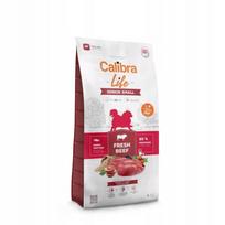 Sausas maistas vyresniems šunims Calibra su jautiena, 6 kg