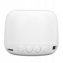 Nešiojama mini Bluetooth kolonėlė su kortelių palaikymu