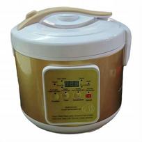 90W 220V juodas auksinis česnakų fermentatorius