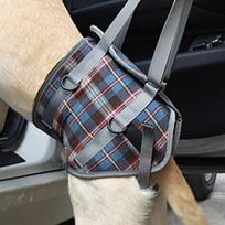Soft Fabric Pet Rear Leg Assist Sling Dog Front Leg Walking Bracket  Post Surgery Pet Exercise M-Hind Legs Style gray