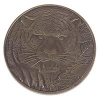 1 vnt. drakono tigro bronzinė moneta, padengta bronza, 40 mm kolekcinės monetos gray