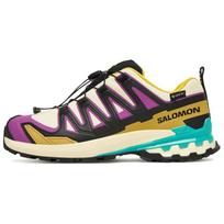 Salomon XA Pro 3D V9 Gore-Tex Madingi Patogūs Žygio Batai Moteriški Žygio Batai Ruda Juoda Violetinė L47882200 36