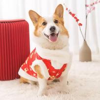 Autumn and Winter Corgi Tang Full Printed Two-legged Clothes Medium and Large Dog Schnauzer Dachshund Pet Dog Dog Clothes S (recommended weight 8-5 kg) beige