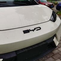 For BYD Dolphin Surf Dolphin Mini Atto 1 2023-2025 Blacked Emblem BYD Rear Letter Exterior Decal Sticker Modification mjewr55 white