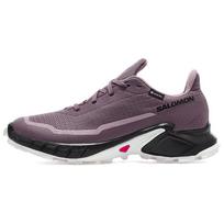 Alphacross 5 Wmns Salomon GORE-TEX 'Moonscape' Moteriški sportbačiai L47311000 39⅓ gray