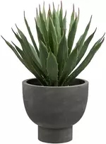House Nordic Augalas, Agave, pilka / žalia