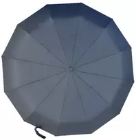 Automatinis juodas skėtis