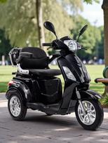 Elektrinis triratis motoroleris MS-03 EEC 1000 W, 60 V 20 Ah juodas