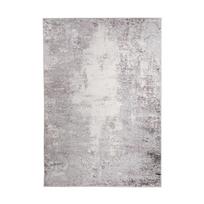 Kilimas vidaus Domoletti Omega E208APEX38 200 x 300 cm