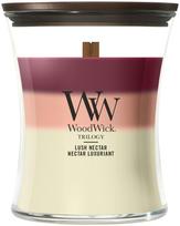 Žvakė, aromatinė WoodWick Lush Nectar, 50 - 65 h, 275 g, įvairių spalvų