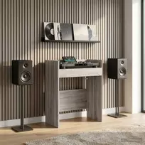 DJ stalas Pilka Sonoma 62 x 45 x 102 cm Apdirbta mediena