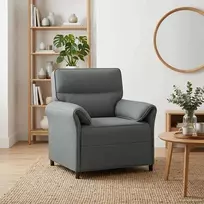 Sofa 100% poliesteris metalinis rėmas MDF, fanera
