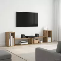 TV staliukas Televizoriaus spintelė 100 x 30 x 50 cm Artisano ąžuolo