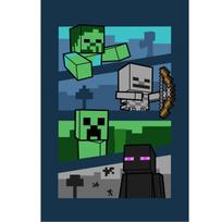 Vaikiškas pledas Minecraft, 100x150 cm