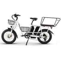 PHILODO kelioninis dviratis su dviguba baterija, elektrinis dviratis 750W 48V 17.5Ah*2 20*3.0  E-bike krovininis su vaikiška sėdyne, hidrauliniai diskiniai stabdžiai 45km/h PHILODO Traveller-YY