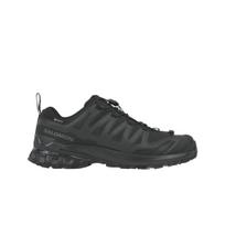 Salomon XA Pro 3D V9 Wide GORE-TEX Black Phantom Men Sneakers Pewter L47277000 42⅔ gray
