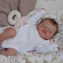 NPK 48 cm Reborn Baby Rosalie labai minkšto audinio lėlė, prikimštas žaislas, gyvas, tikras minkštas prisilietimas NO Toy gray
