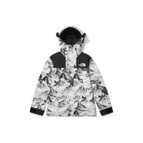 THE NORTH FACE Naujiena Eco Gtx Kalnų striukė Neutraliai pilka Unisex Korėjos versija NJ2GN60B XS white