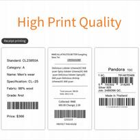 Integruotas 80 mm terminis spausdintuvas su TTL, RS232 ir USB jungtimis
