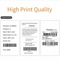 Integruotas 80 mm terminis spausdintuvo modulis su TTL, RS232 ir USB BG jungtimis