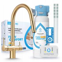 Virtuvinis vandens filtras su auksine DAFI FLOW COMFORT D-1 kranu