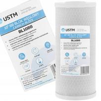 Anglies filtras 10" Big Blue USTM