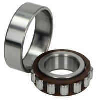 Cilindrinis ritininis guolis NJ204 TW FAG 20x47x14