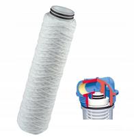 Vandens filtro kasetė Atlas Filtri 10'' BX, 25 mikronų