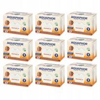 Vandens ąsočio filtras Aquaphor Maxfor+ H (kietam vandeniui), 9 vnt.