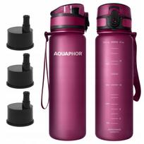 Gertuvė su filtru Aquaphor City 500 ml, 3 filtrai
