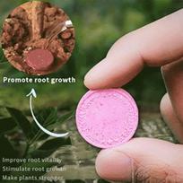 Sustained-release Phosphorus Organic Fertilizer Potassium Growth Slow-Release Tablet Speed Up Slow Release Agent Plants Potted XXS brown